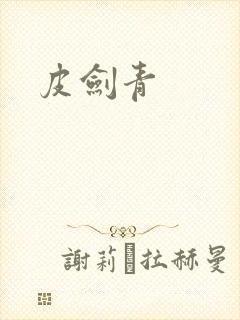 皮剑青封面