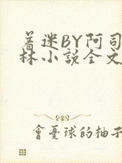 着迷BY阿司匹林小说全文免费阅读