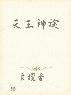 天王神途
