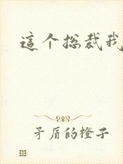 这个总裁我要了