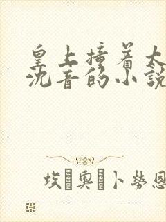 皇上撞着太子妃沈音的小说叫什么