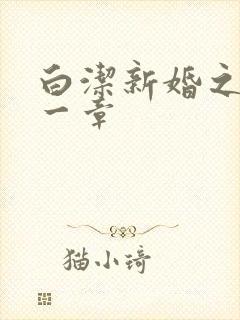 白洁新婚之夜第一章
