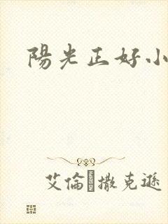 阳光正好小说封面