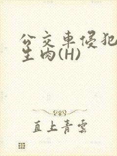 公交车侵犯小男生肉(H)