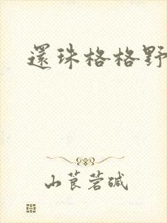 还珠格格野传