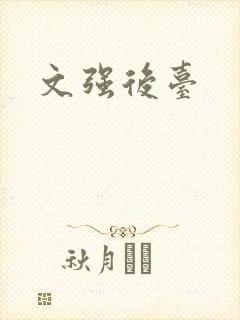文强后台封面