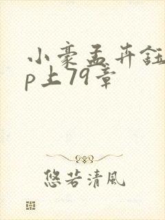 小豪孟卉钰慧三p上79章