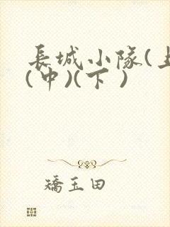 长城小队(上)(中)(下 )