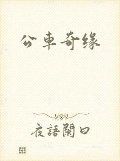 公车奇缘