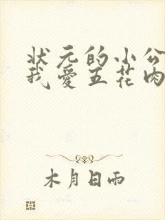 状元的小公主(我爱五花肉)