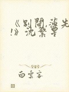 《别闹,薄先生!》沈繁星