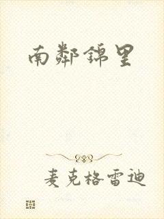 南邻锦里封面