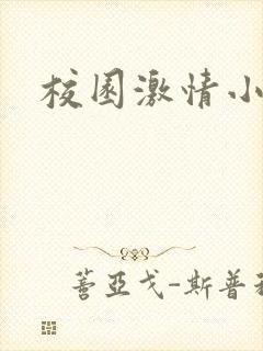 校园激情小说封面