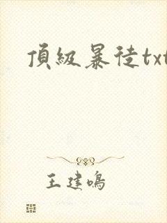 顶级暴徒txt