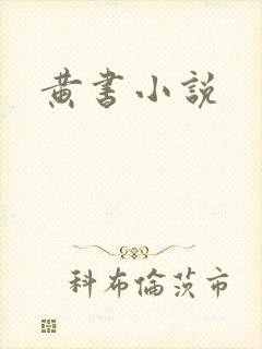黄书小说