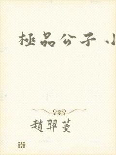 极品公子 小说封面