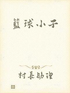 篮球小子