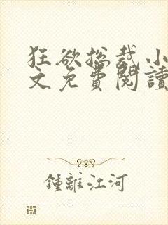 狂欲总裁小说全文免费阅读