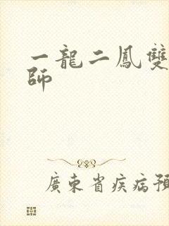 一龙二凤双飞老师