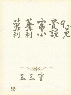 荣华富贵9小王莉莉小说免费阅读封面