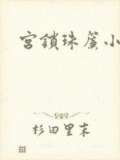 宫锁珠帘小说