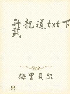 升龙道txt下载