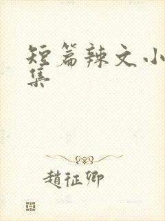 短篇辣文小说合集封面