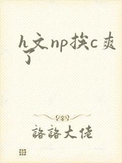 h文np挨c爽了