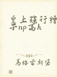 皇上强行糟蹋太子np高h