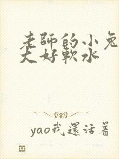 老师的小兔子好大好软水