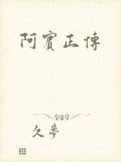 阿宾正传封面
