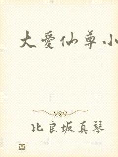 大爱仙尊小说