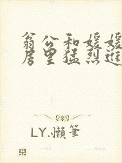 翁公和媛媛在厨房里猛烈进出