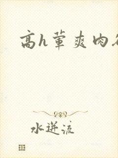 高h荤爽肉欲文