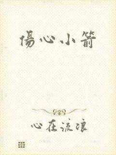 伤心小箭封面