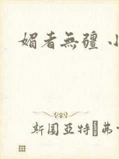 媚者无疆 小说