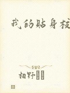 我的贴身校花