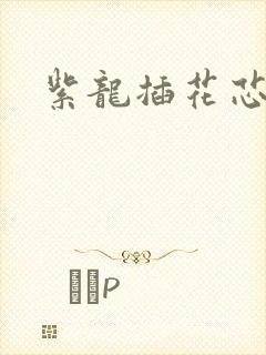 紫龙插花芯
