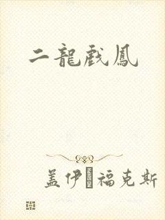 二龙戏凤