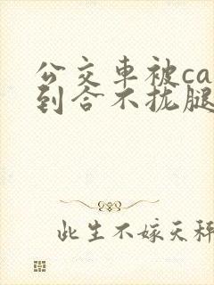 公交车被cao到合不拢腿视频