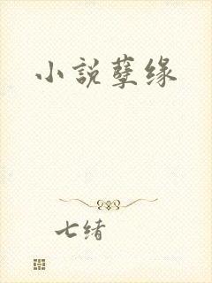 小说孽缘封面