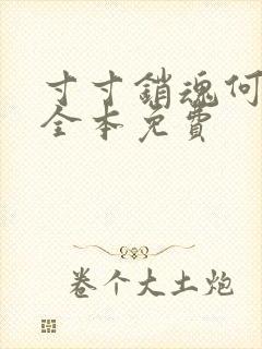 寸寸销魂何生祥全本免费