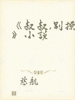 《叔叔,别撩我》小说封面