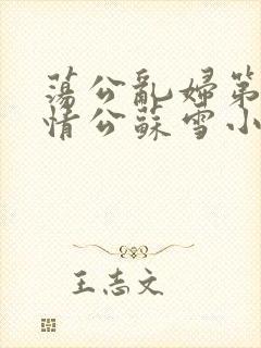 荡公乱妇第1章情公苏雪小说