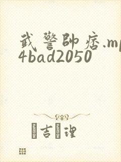 武警帅痞.mp4bad2050封面