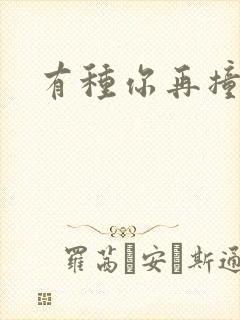 有种你再撞一下