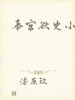 奉宫欲史小说封面