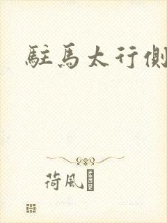 驻马太行侧
