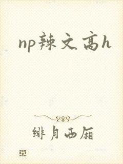 np辣文高h