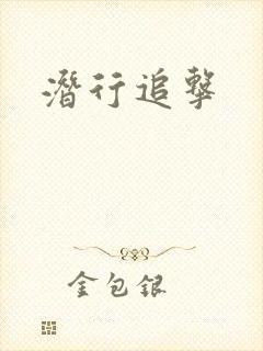 潜行追击封面